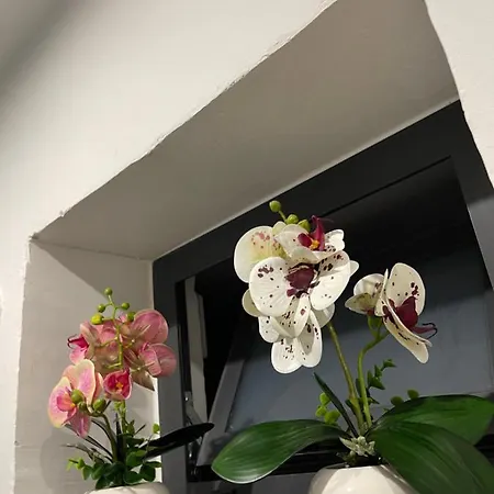 House Soleil Apartment *